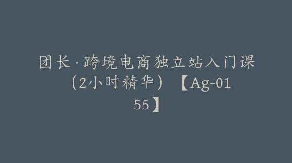 团长·跨境电商独立站入门课（2小时精华）【Ag-0155】