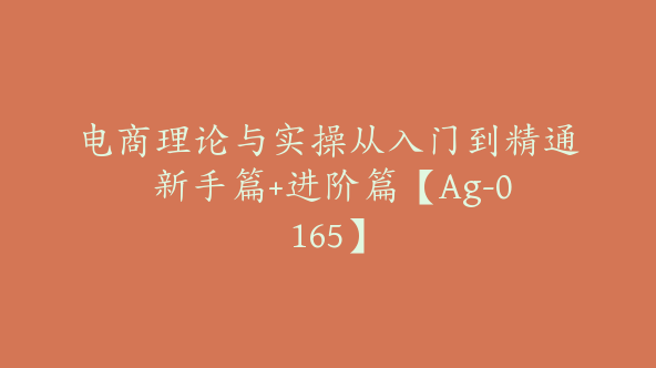 电商理论与实操从入门到精通 新手篇+进阶篇【Ag-0165】