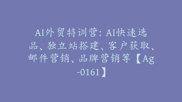 AI外贸特训营：AI快速选品、独立站搭建、客户获取、邮件营销、品牌营销等【Ag-0161】