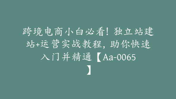 跨境电商小白必看！独立站建站+运营实战教程，助你快速入门并精通【Aa-0065】