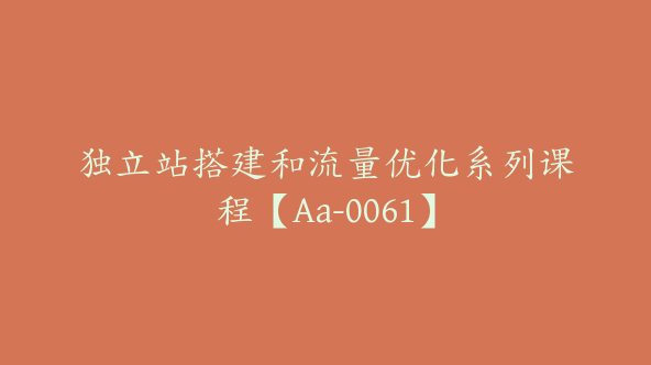 独立站搭建和流量优化系列课程【Aa-0061】