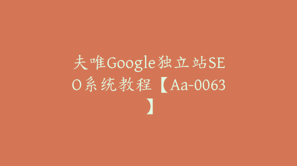 夫唯Google独立站SEO系统教程【Aa-0063】